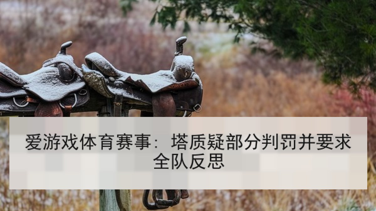 爱游戏体育赛事: 塔质疑部分判罚并要求全队反思