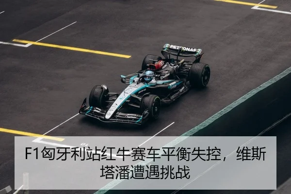 xiong-ya-li-zhan-hong-niu-sai-che-ping-heng-shi-kong-wei-si-ta-pan-zao-yu-tiao-zhan-3-146.jpg