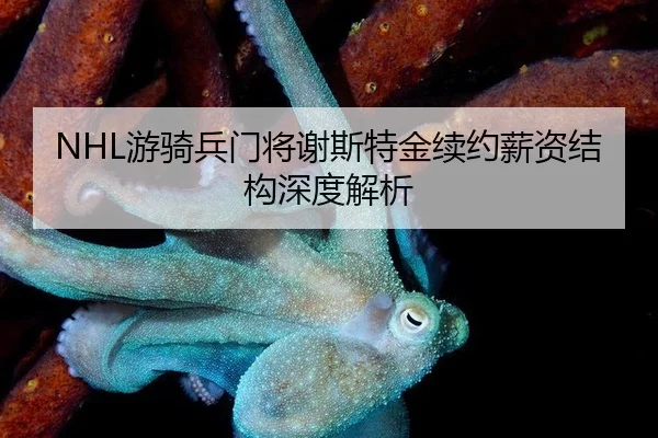 NHL游骑兵门将谢斯特金续约薪资结构深度解析