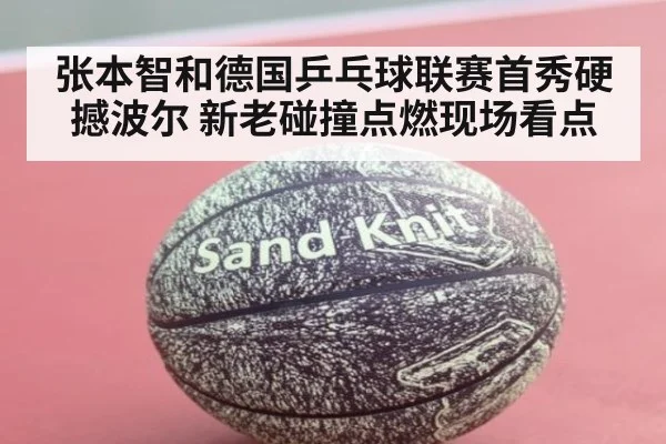 张本智和德国乒乓球联赛首秀硬撼波尔 新老碰撞点燃现场看点