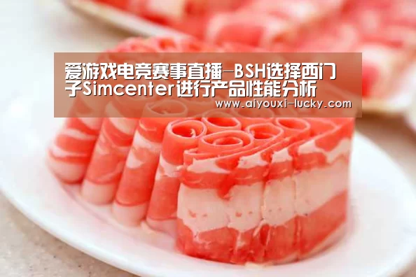 爱游戏电竞赛事直播-BSH选择西门子Si